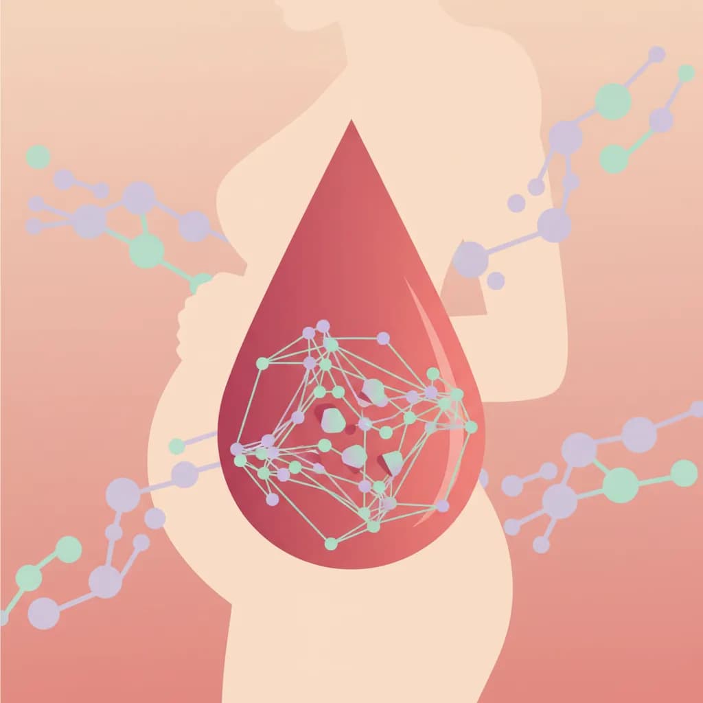 D-димер при беременности: нормы, причины отклонений и что делать