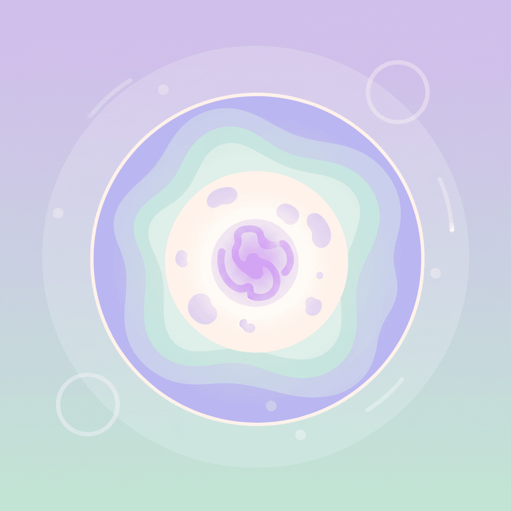 Лейкоциты в крови: норма, повышение и снижение показателя