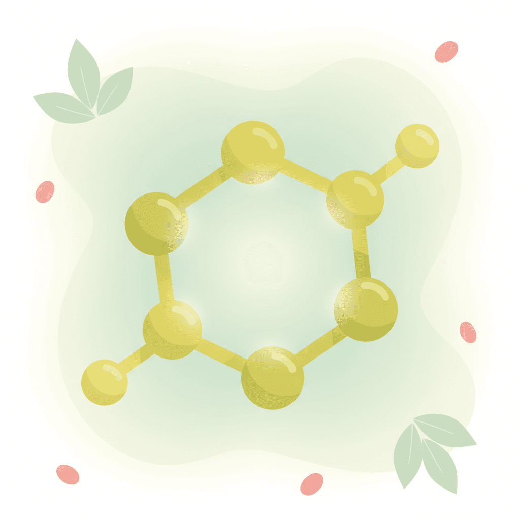 Фолиевая кислота (витамин B9): норма в крови, причины отклонений и расшифровка анализа